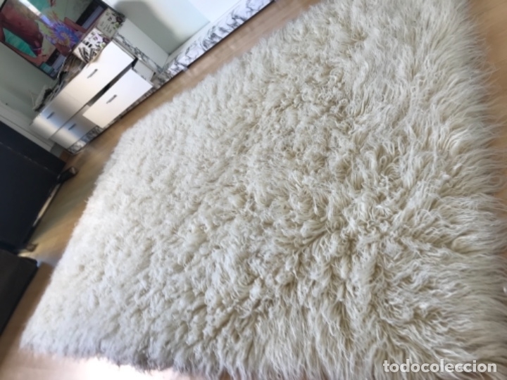 dokonale vyčistený koberec