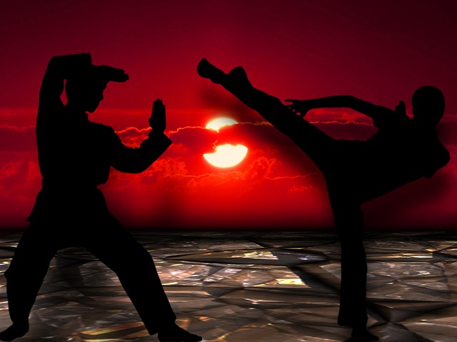 karate.jpg